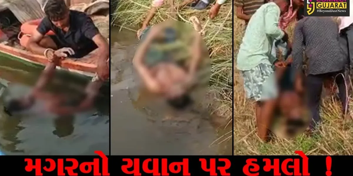 ભરૂચ: ઝઘડિયાના અવિધા નજીક નર્મદા નદીમાં મગરનો યુવાન પર હુમલો, નદીમાં ખેંચી જતા મોત નિપજયુ