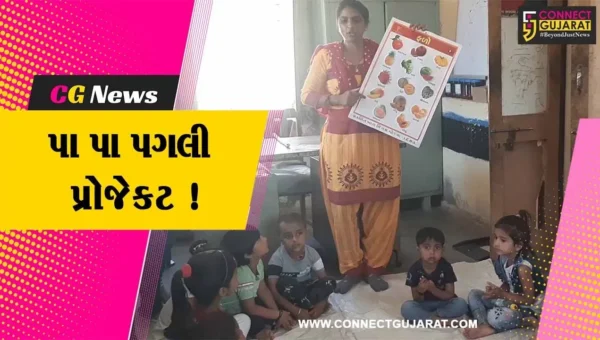 પાટણ: પા પા પગલી પ્રોજેકટ અંતર્ગત શિક્ષણને વધુ રસપ્રદ બનાવવાનો પ્રયાસ, ૩૭ હજારથી વધુ બાળકોએ લીધો લાભ