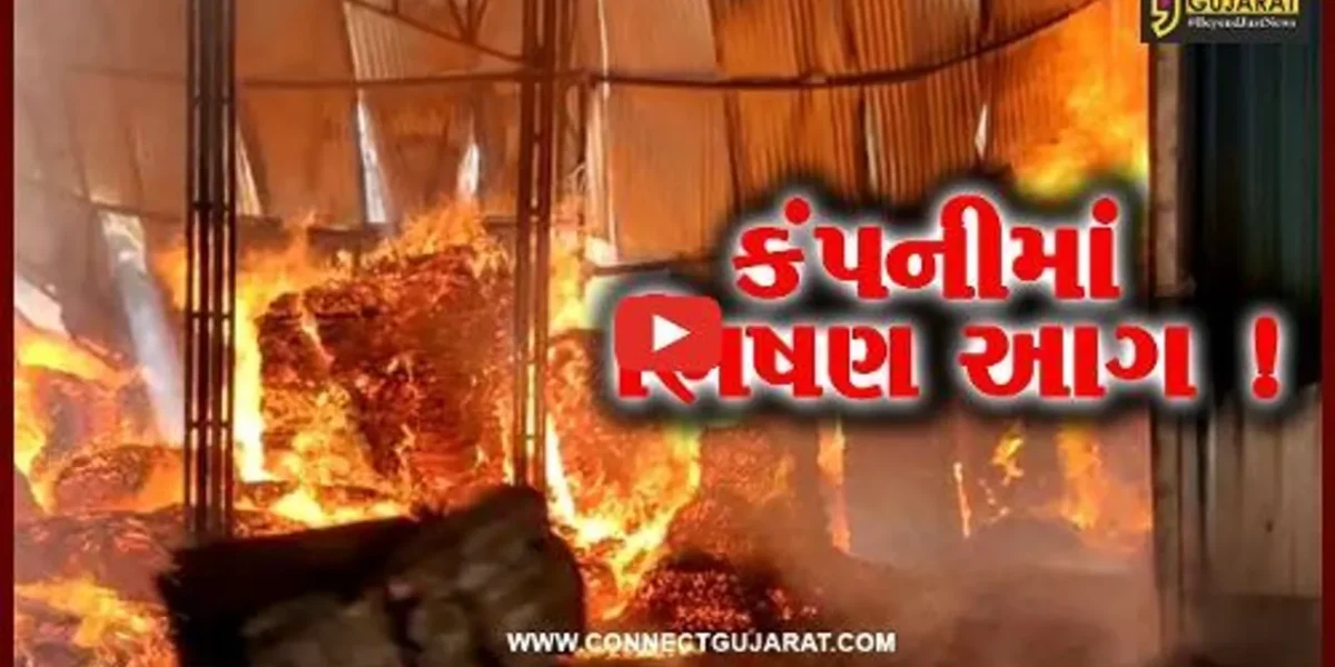 સાબરકાંઠા: તાજપુર ખાતે આવેલ મહાદેવ પ્લાયવુડની ફેકટરીમાં ભીષણ આગ,ફાયર વિભાગે આગ પર કાબૂ મેળવ્યો