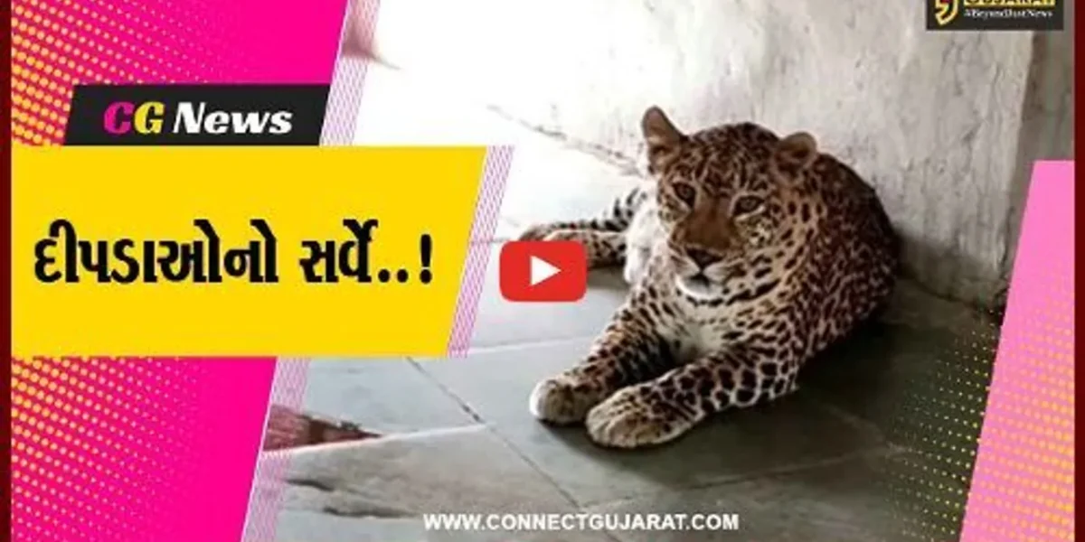 વડોદરા : ખોરાકની શોધમાં શહેરી વિસ્તારમાં આવી ચઢે છે ખૂંખાર દીપડા, MSUના વિદ્યાર્થીઓએ કર્યો સર્વે…