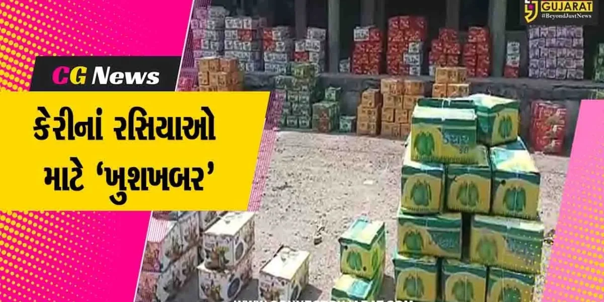 ગીર સોમનાથ : તાલાળા ગીર ખાતે કેસર કેરીની હરાજીનો પ્રારંભ. જગ વિખ્યાત ગીરની કેસર કેરી માર્કેટમાં છલકાય