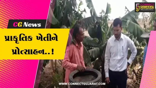 અમરેલી : વડીયાના ખેડૂતે બાજરીની પ્રાકૃતિક ખેતી થકી મેળવ્યું બમણું ઉત્પાદન, અન્ય ખેડૂતોને આપી પ્રેરણા