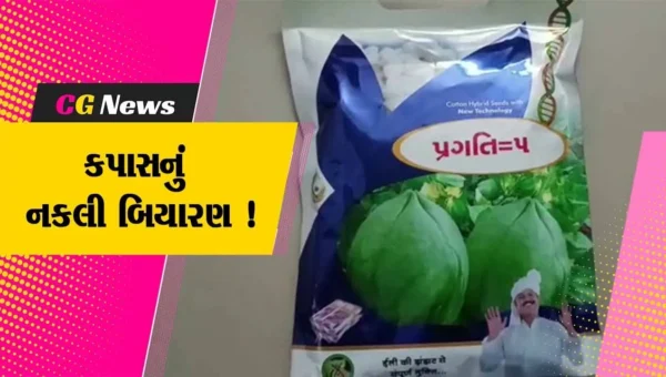 ભાવનગર: કપાસનો 600 કિલો નકલી બિયારણનો જથ્થો ઝડપાયો,પોલીસે હાથ ધરી તપાસ
