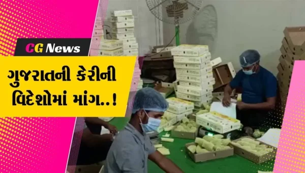 સૌપ્રથમવાર ભરૂચના ઝઘડીયાથી કેસર કેરીનો જથ્થો સાઉથ આફ્રિકા પહોચ્યો, વિદેશમાં ગુજરાતની કેરીનું થશે વેંચાણ…