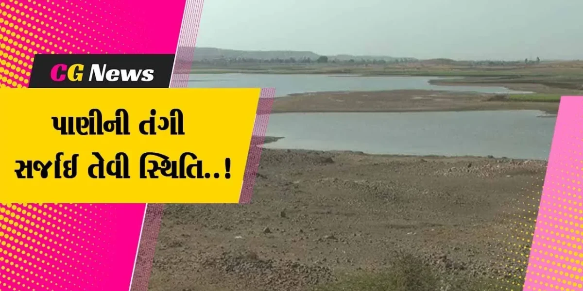 ભાવનગર : ઉનાળાના પ્રારંભે જ પાણીનો પોકાર, જળાશયોમાં પાણીની આવક ખૂટી..!