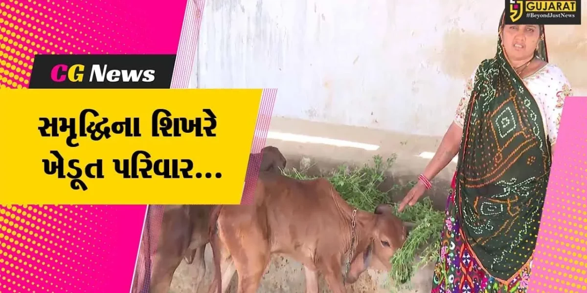 અમદાવાદ : દાલોદના સિંધવ પરિવારે દૂધ અને દાડમનો “કોમ્બો” અને આવક થઈ “જમ્બો” સૂત્રને સાર્થક કર્યું..!