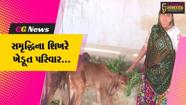 અમદાવાદ : દાલોદના સિંધવ પરિવારે દૂધ અને દાડમનો “કોમ્બો” અને આવક થઈ “જમ્બો” સૂત્રને સાર્થક કર્યું..!