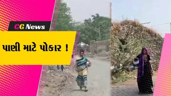 ગીર સોમનાથ: ભર ઉનાળામાં તાલાલાના રાયડી ગામે પાણી માટે ગ્રામજનો મારી રહ્યા છે વલખા