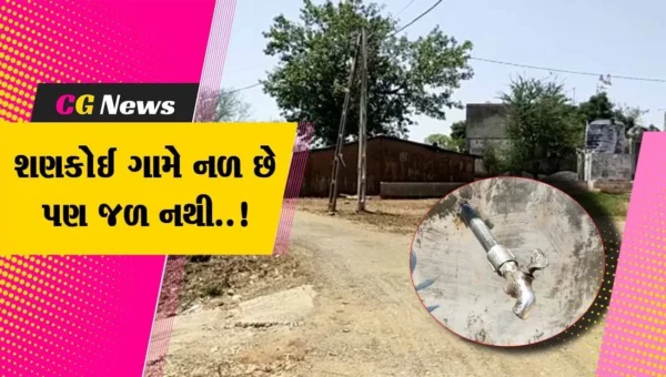 ભરૂચ : ઉનાળાના પ્રારંભે નેત્રંગના શણકોઈ ગામમાં પાણીનો પોકાર, ખેડૂતો અને સ્થાનિકોના પાણી માટે વલખા…