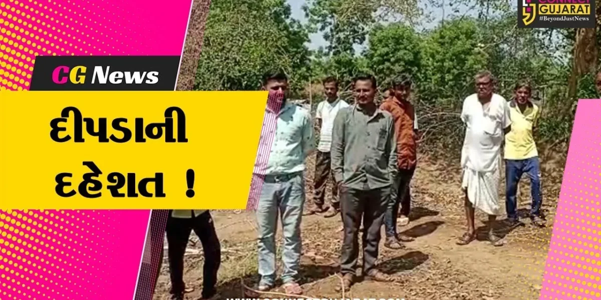 અરવલ્લી:મોડાસા તાલુકાનાં ગ્રામ્ય વિસ્તારમાં દીપડાનો આતંક, ગ્રામજનોમાં ફફડાટ