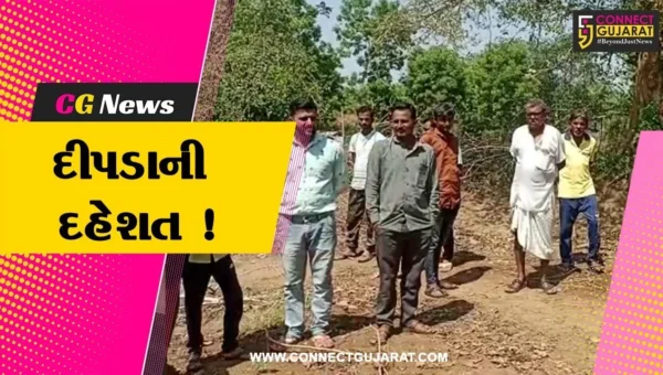 અરવલ્લી:મોડાસા તાલુકાનાં ગ્રામ્ય વિસ્તારમાં દીપડાનો આતંક, ગ્રામજનોમાં ફફડાટ
