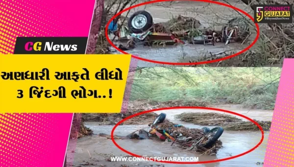 જુનાગઢ : ચુડવા ગામે નદીના વહેણમાં શ્રમિકો ભરેલી રિક્ષા તણાઈ, 9 શ્રમિકોનું રેસક્યું, 3 મહિલાના મોત…