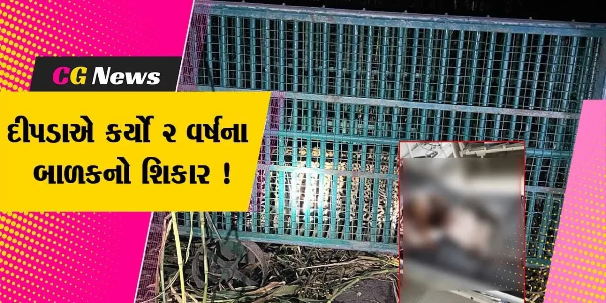 અમરેલી: રાજુલાના કાતર ગામમાં દીપડાએ બે વર્ષના માસૂમનો કર્યો શિકાર, પરિવારમાં શોકનું મોજુ
