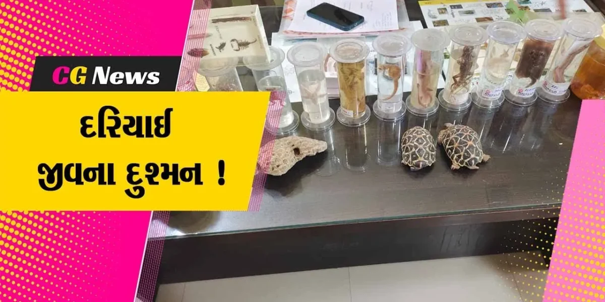 વડોદરા: બરાનપૂરાના એક મકાનમાંથી પ્રતિબંધિત 21 દરીયાઇ જીવ મળી આવ્યા, વન વિભાગે ગુનો દાખલ કર્યો