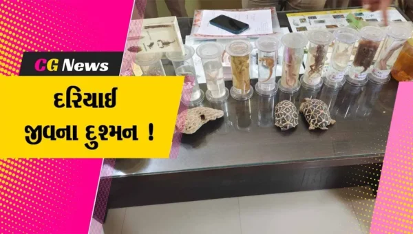 વડોદરા: બરાનપૂરાના એક મકાનમાંથી પ્રતિબંધિત 21 દરીયાઇ જીવ મળી આવ્યા, વન વિભાગે ગુનો દાખલ કર્યો