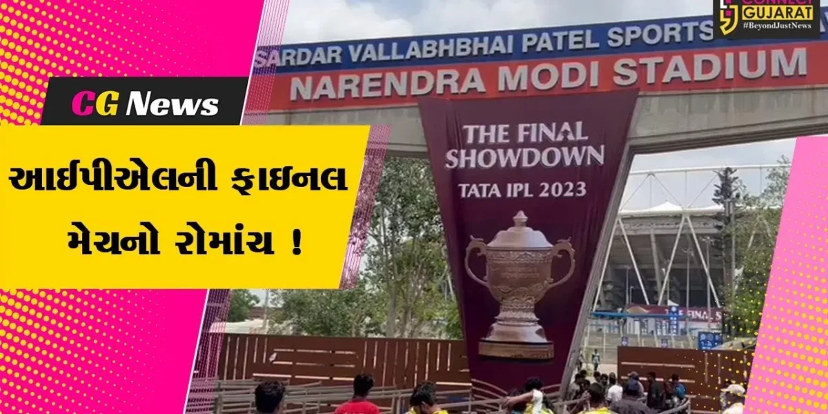 IPLની ફાઇનલ મેચનું કાઉન્ટડાઉન શરૂ, અમદાવાદનાં નરેન્દ્ર મોદી સ્ટેડિયમ બહાર ક્રિકેટ રસિકોની ભારે ભીડ