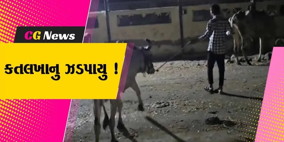 ભરૂચ: અંકલેશ્વરના આલુંજ ગામ નજીકથી ગેરકાયદેસર કતલખાનુ ઝડપાયુ, રૂ.4 લાખથી વધુની કિમતનો મુદ્દામાલ પોલીસે જપ્ત કર્યો