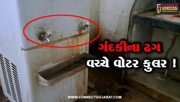 સાબરકાંઠા: હિંમતનગરમાં કલેકટર કચેરીમાં વોટર કુલરની આજુબાજુ ગંદકીના ઢગ,લોકોને પડી રહી છે હાલાકી
