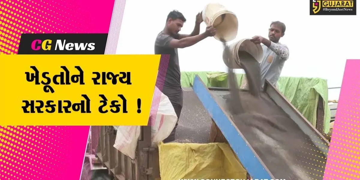 રાજ્ય સરકારે વિવિધ પાકની ટેકાના ભાવે ખરીદી કરી શરૂ, ખેડૂતોને મળ્યો લાભ