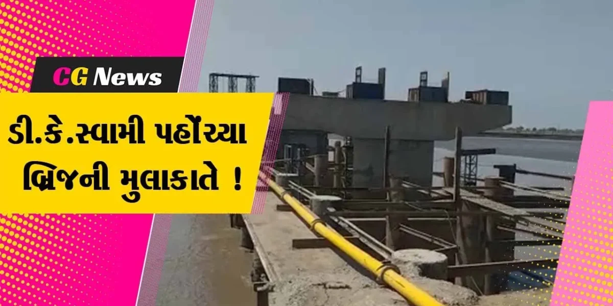 ભરૂચ: MLA ડી.કે.સ્વામીએ જંબુસરના ડોલીયા દેણવા બ્રિજની કામગીરીનું કર્યું નિરિક્ષણ, જુઓ શું આપી સૂચના