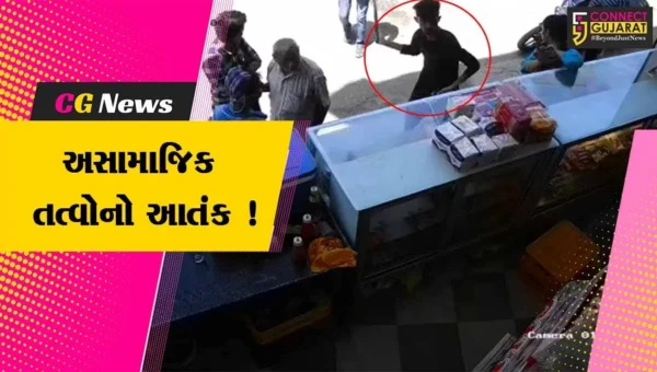 ભાવનગર : કોલ્ડડ્રિંક્સની દુકાનમાં અસામાજિક તત્વોએ કરી તોડફોડ,જુઓ CCTV