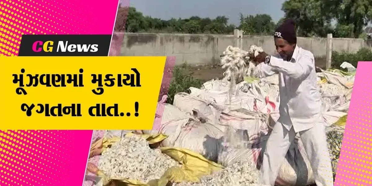 અમરેલી : APMCની જાહેર હરાજીમાં કપાસના પોષણક્ષમ ભાવ ન મળતા ખેડૂતોમાં નિરાશા, ટેકાના ભાવે ખરીદી કરવા માંગ..!