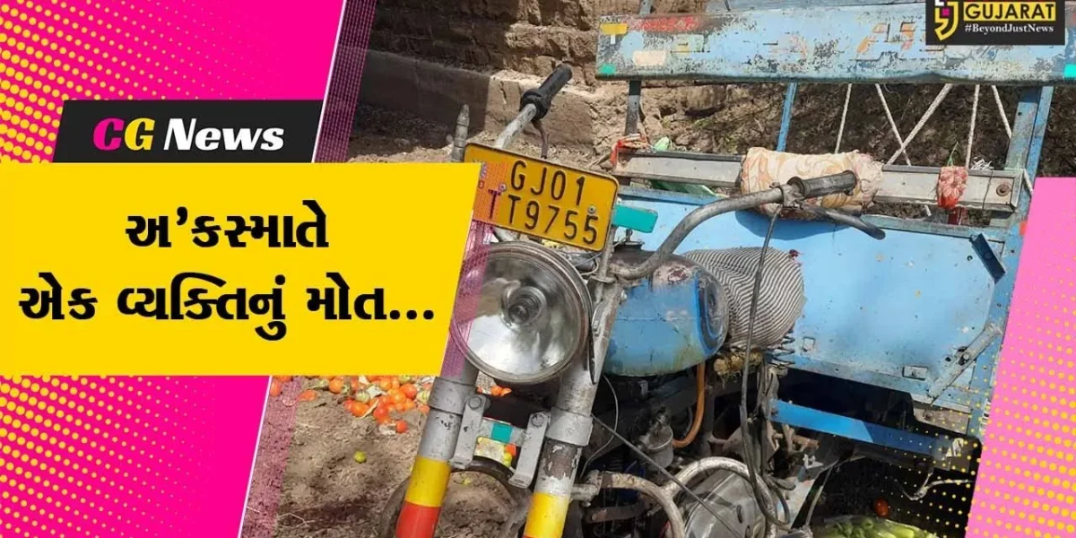 રાજકોટ : ગોંડલ નજીક અજાણ્યા વાહનની ટક્કરે છકડો રીક્ષા 20 ફૂટ ઉપરથી પુલ નીચે ખાબકી, ચાલકનું મોત…