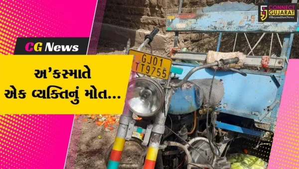 રાજકોટ : ગોંડલ નજીક અજાણ્યા વાહનની ટક્કરે છકડો રીક્ષા 20 ફૂટ ઉપરથી પુલ નીચે ખાબકી, ચાલકનું મોત…