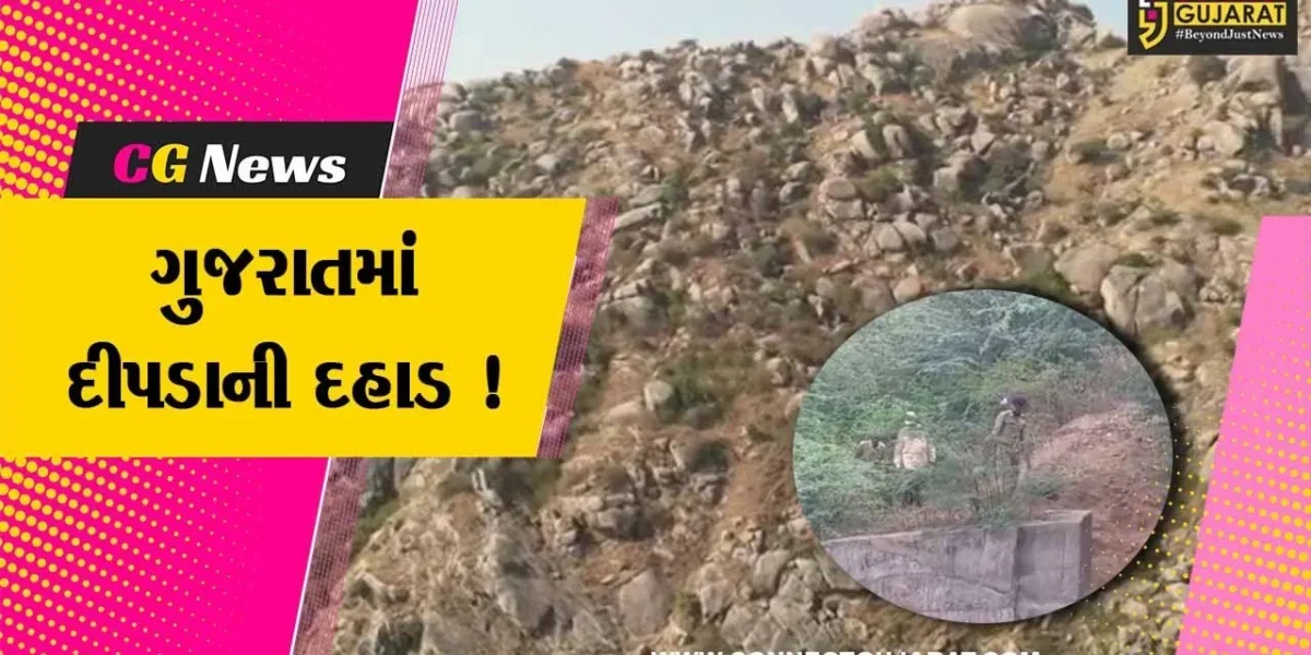 સાબરકાંઠા: વન્ય પ્રાણીઓની ગણતરીમાં દીપડાની સંખ્યા 20 ટકા વધી હોવાનો અંદાજ
