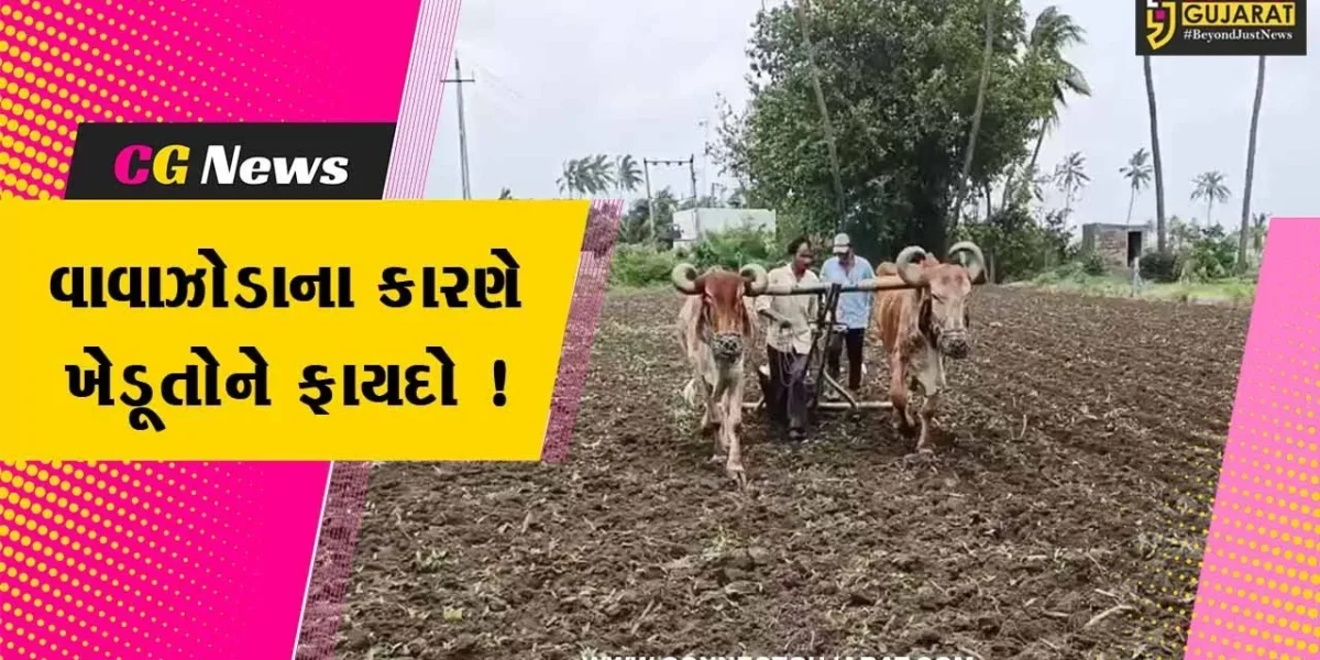 ગીરસોમનાથ: બિપરજોય વાવાઝોડાના કારણે ખેડૂતોને ફાયદો ! જુઓ શું કહી રહ્યા છે ધરતીપુત્રો