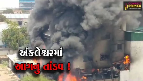 અંકલેશ્વર: નિરંજન લેબોરેટરીમાં ભયાનક આગ, ધુમાડાના ગોટેગોટા દૂર દૂર સુધી નરજે પડ્યા