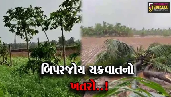 ગીર સોમનાથ : બિપરજોયના પગલે નારીયેરીના વૃક્ષો ધરાશાયી, લોકરક્ષણાર્થે પ્રભાસ તીર્થ પુરોહિતોની સોમનાથ મહાદેવને પ્રાર્થના