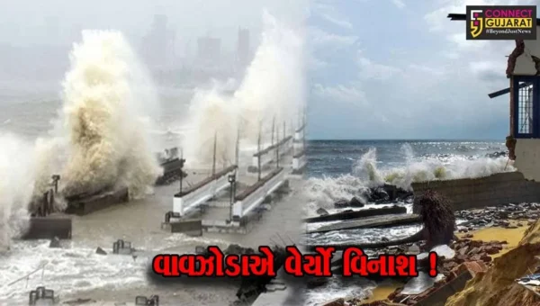 વાવાઝોડાના કારણે સમગ્ર ગુજરાતમાં 1 હજારથી વધુ ગામોમાં વીજ પુરવઠો ઠપ , 263 રસ્તાઓ બંધ