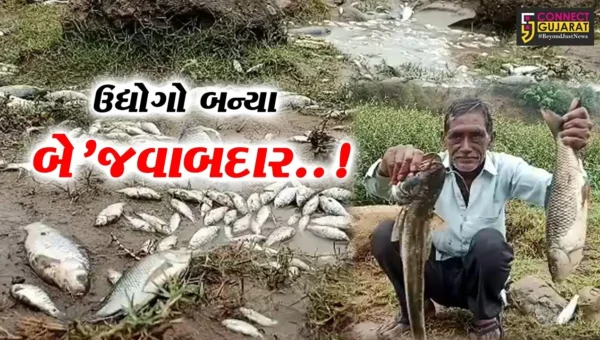અંકલેશ્વર : અમરાવતી ખાડીમાં વધુ એકવાર અસંખ્ય માછલીના મોત, બે’જવાબદાર ઉદ્યોગો સામે ગ્રામજનોમાં રોષ…