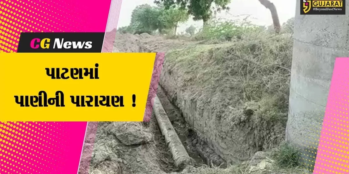 પાટણ: સમી તાલુકામાં ખેડૂતોને સિંચાઇ માટેનું પાણી ન મળતા રોષ,જુઓ ખેડૂતોએ શું કર્યા આક્ષેપ