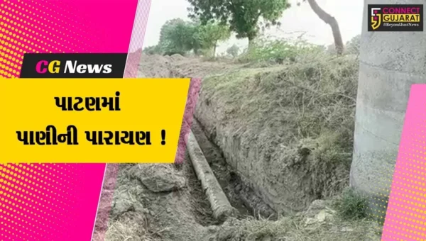 પાટણ: સમી તાલુકામાં ખેડૂતોને સિંચાઇ માટેનું પાણી ન મળતા રોષ,જુઓ ખેડૂતોએ શું કર્યા આક્ષેપ