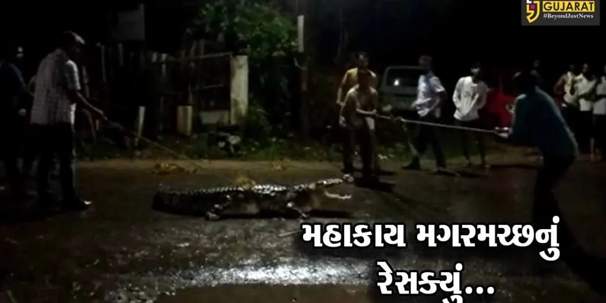 વડોદરા : મહાકાય મગરમચ્છ રોડ પર ઉતરી આવ્યો, જુઓ રેસ્ક્યુંના “LIVE” દ્રશ્યો…
