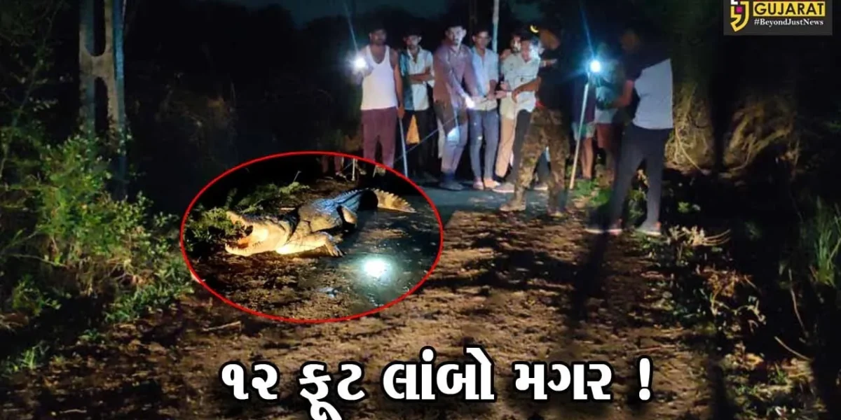 વડોદરા: સુખલીપુરાગામમાંથી 12 ફૂટના મહાકાય મગરનું કરાયુ રેસ્ક્યૂ
