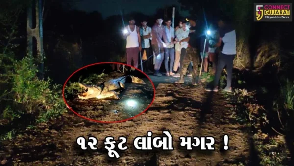 વડોદરા: સુખલીપુરાગામમાંથી 12 ફૂટના મહાકાય મગરનું કરાયુ રેસ્ક્યૂ