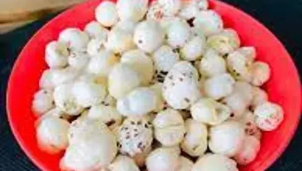દરેકના સ્વાસ્થ્ય માટે વરદાન છે મખાના, આપના ડાયટ પ્લાનમાં સામેલ કરો, અનેક રીતે છે ફાયદાકારક