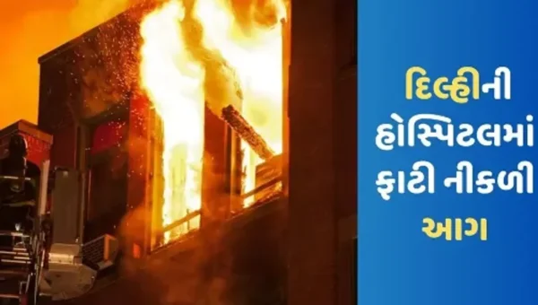 દિલ્હીની ન્યુ બોર્ન બેબી નામની હોસ્પિટલમાં લાગી ભીષણ આગ, ફાયર વિભાગે 20 નવજાત બાળકો સળગતા બચાવ્યા
