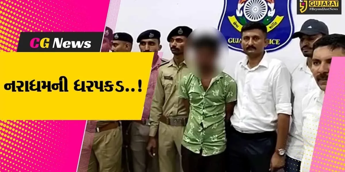અમરેલી : દિવ્યાંગ યુવક સાથે સૃષ્ટિ વિરુદ્ધનું કૃત્ય આચરવા પથ્થર મારી હત્યા, હત્યારાની ધરપકડ…