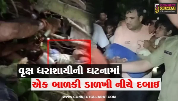 આણંદ : વિદ્યાનગરમાં ઘટાદાર વૃક્ષ ધરાશાયી થતાં એક બાળકી ડાળખી નીચે દબાય, ફાયર ફાઈટરોએ કર્યું રેસ્ક્યુ…