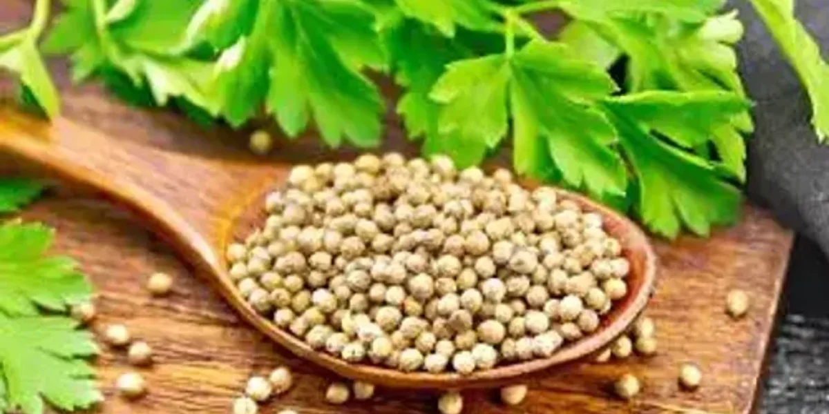 રોજ સવારે પીવો આ પાણી, પેટની ચરબી ક્યાં ગાયબ થઈ જશે ખબર જ નહીં પડે….
