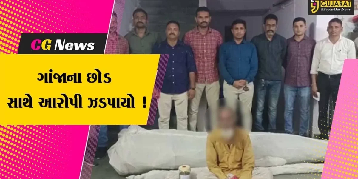 પંચમહાલ: ખેતરમાં લીલા ગાંજાના છોડ સાથે પોલીસે એક આરોપીની કરી ધરપકડ