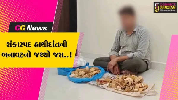 ભાવનગર : શંકાસ્પદ હાથીદાંતના બલોયા-ચુડીઓ અને 9 કિલો પાવડરના જથ્થા સાથે 1 ઈસમ ઝડપાયો