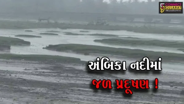 નવસારી: બીલીમોરા શહેરમાંથી નીકળતો કચરો અંબિકા નદી ઠલવાય છે,જળ પ્રદૂષણની સમસ્યા
