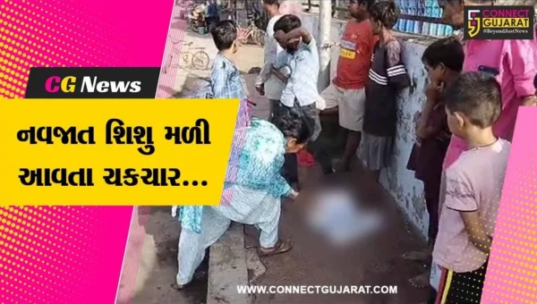 ભાવનગર : શંકાસ્પદ થેલીને તપાસતા મૃત હાલતમાં મળી આવ્યું નવજાત શિશુ, પોલીસ તપાસ શરૂ…