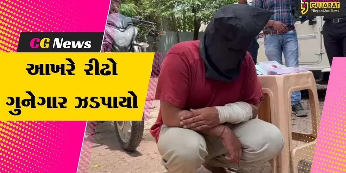 નવસારી : LCBએ ઘરફોડ ચોરી કરતા તસ્કરને ઝડપી પાડ્યો, 51 જેટલી ચોરીના ગુનાને આપી ચૂક્યો છે અંજામ