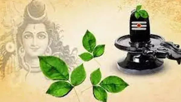ભગવાન શિવને બિલીપત્ર જ કેમ ચઢાવવામાં આવે છે? કારણ જાણી ચોંકી જશો……